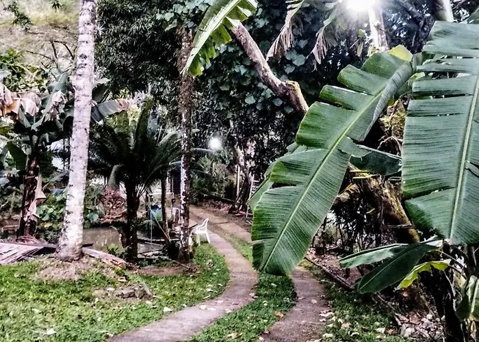 Casa das Árvores Ubatuba